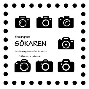 Logga Fotogruppen Skaren 300