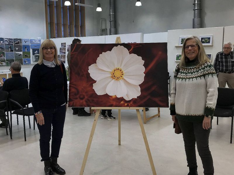 Utställning_10
