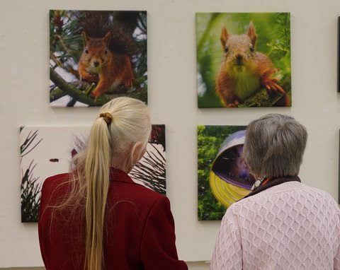 Utställning_5