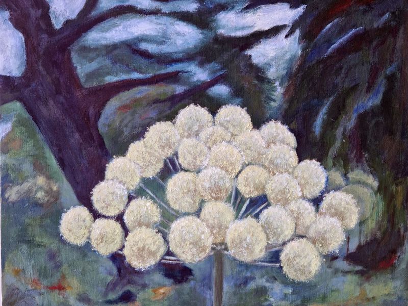 Kvanne